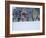 Beach Huts in the Snow at Wells Next the Sea, Norfolk, England-Jon Gibbs-Framed Photographic Print