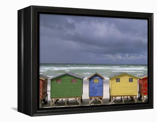 Beach Huts, Muizenberg, Cape Peninsula, South Africa, Africa-Steve & Ann Toon-Framed Premier Image Canvas