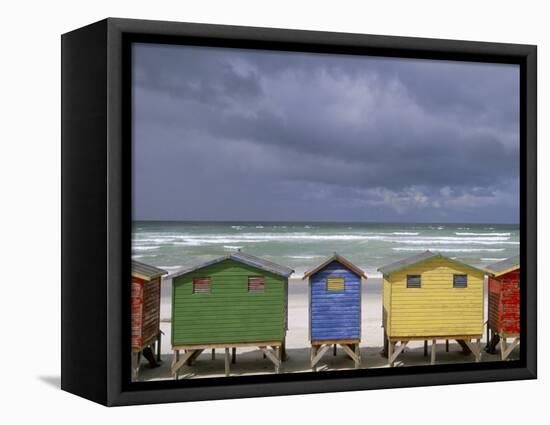 Beach Huts, Muizenberg, Cape Peninsula, South Africa, Africa-Steve & Ann Toon-Framed Premier Image Canvas