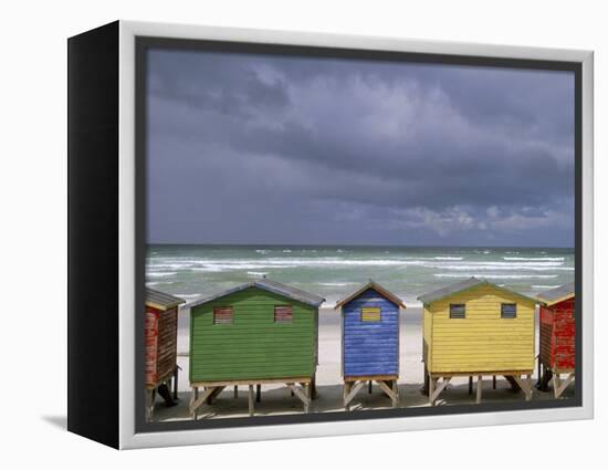 Beach Huts, Muizenberg, Cape Peninsula, South Africa, Africa-Steve & Ann Toon-Framed Premier Image Canvas