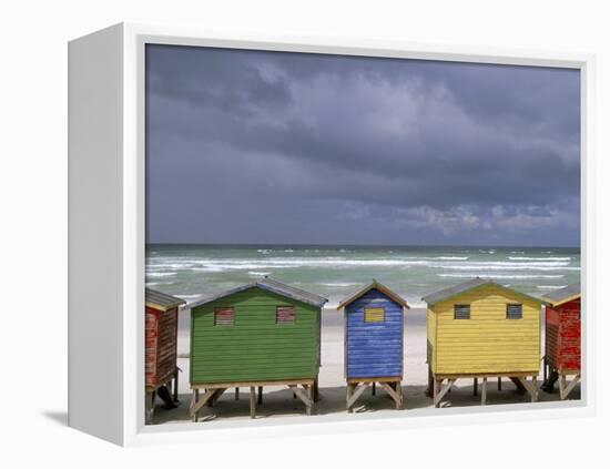 Beach Huts, Muizenberg, Cape Peninsula, South Africa, Africa-Steve & Ann Toon-Framed Premier Image Canvas