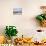 Beach Huts, Muizenberg, Near Cape Town, Cape Peninsula, South Africa-Fraser Hall-Photographic Print displayed on a wall