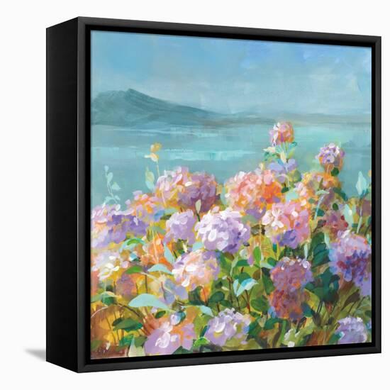 Beach Hydrangeas-Danhui Nai-Framed Stretched Canvas