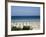 Beach in Alcudia, Majorca, Balearic Islands, Spain, Mediterranean-Hans Peter Merten-Framed Photographic Print