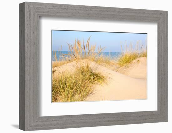 Beach in New Buffalo, Michigan-soupstock-Framed Photographic Print