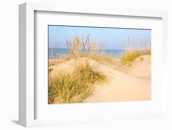 Beach in New Buffalo, Michigan-soupstock-Framed Photographic Print