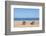 Beach in Olympos, Antalya, Turkey-Ali Kabas-Framed Photographic Print