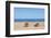 Beach in Olympos, Antalya, Turkey-Ali Kabas-Framed Photographic Print