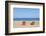 Beach in Olympos, Antalya, Turkey-Ali Kabas-Framed Photographic Print