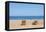 Beach in Olympos, Antalya, Turkey-Ali Kabas-Framed Premier Image Canvas