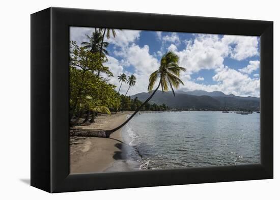 Beach in Prince Rupert Bay, Dominica, West Indies, Caribbean, Central America-Michael Runkel-Framed Premier Image Canvas