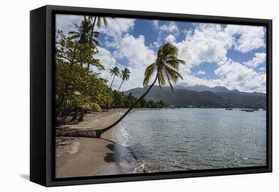 Beach in Prince Rupert Bay, Dominica, West Indies, Caribbean, Central America-Michael Runkel-Framed Premier Image Canvas