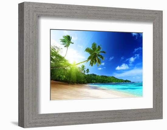 Beach in Sunset Time on Mahe Island in Seychelles-Iakov Kalinin-Framed Photographic Print