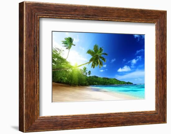 Beach in Sunset Time on Mahe Island in Seychelles-Iakov Kalinin-Framed Photographic Print