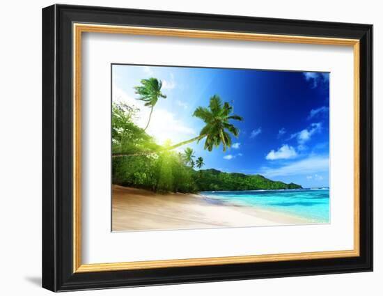 Beach in Sunset Time on Mahe Island in Seychelles-Iakov Kalinin-Framed Photographic Print