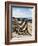 Beach, La Cotiniere, Ile d'Oleron, Charente-Maritime, Poitou Charentes, France-David Hughes-Framed Photographic Print