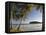 Beach, La Sagesse Estate, Grenada, Caribbean-Walter Bibikow-Framed Premier Image Canvas