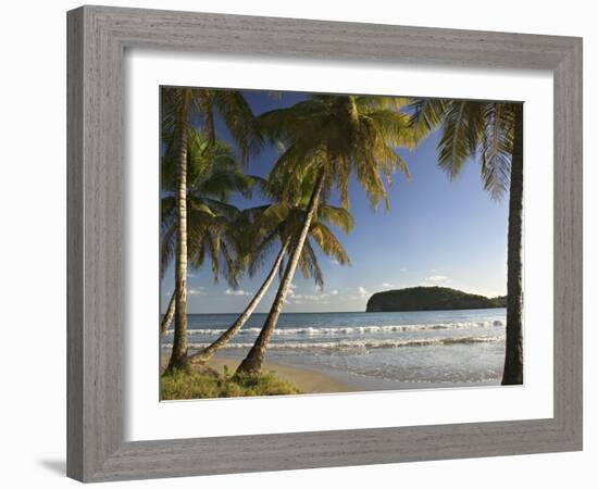 Beach, La Sagesse Estate, Grenada, Caribbean-Walter Bibikow-Framed Photographic Print