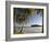 Beach, La Sagesse Estate, Grenada, Caribbean-Walter Bibikow-Framed Photographic Print