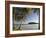 Beach, La Sagesse Estate, Grenada, Caribbean-Walter Bibikow-Framed Photographic Print