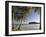 Beach, La Sagesse Estate, Grenada, Caribbean-Walter Bibikow-Framed Photographic Print