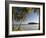 Beach, La Sagesse Estate, Grenada, Caribbean-Walter Bibikow-Framed Photographic Print