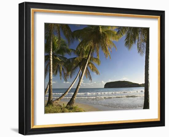 Beach, La Sagesse Estate, Grenada, Caribbean-Walter Bibikow-Framed Photographic Print