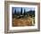 Beach Lake Trail with Fall Color, Mt. Rainier National Park, Washington, USA-Jamie & Judy Wild-Framed Photographic Print