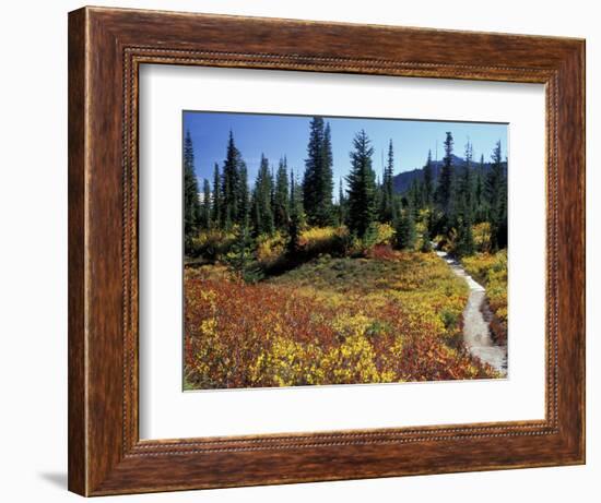 Beach Lake Trail with Fall Color, Mt. Rainier National Park, Washington, USA-Jamie & Judy Wild-Framed Photographic Print