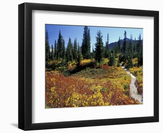 Beach Lake Trail with Fall Color, Mt. Rainier National Park, Washington, USA-Jamie & Judy Wild-Framed Photographic Print