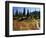 Beach Lake Trail with Fall Color, Mt. Rainier National Park, Washington, USA-Jamie & Judy Wild-Framed Photographic Print