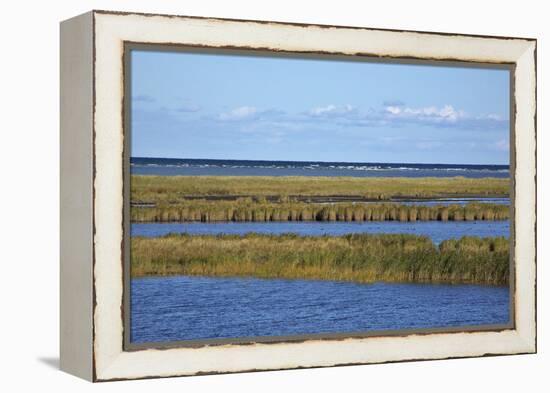 Beach Lakes at Darsser Ort Boat Region on the Darss Peninsula-Uwe Steffens-Framed Premier Image Canvas