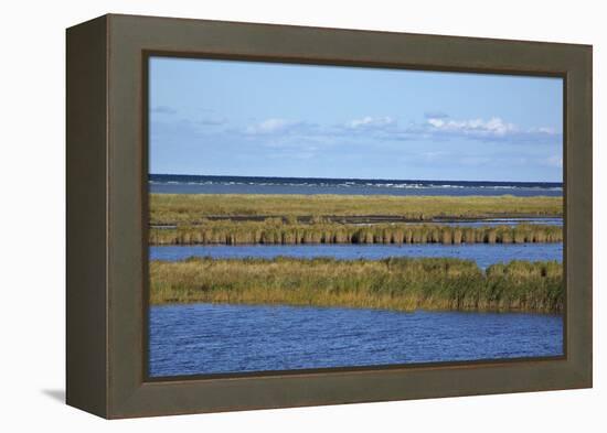 Beach Lakes at Darsser Ort Boat Region on the Darss Peninsula-Uwe Steffens-Framed Premier Image Canvas