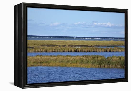 Beach Lakes at Darsser Ort Boat Region on the Darss Peninsula-Uwe Steffens-Framed Premier Image Canvas