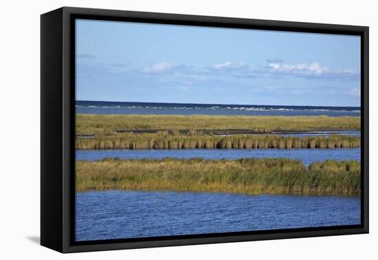 Beach Lakes at Darsser Ort Boat Region on the Darss Peninsula-Uwe Steffens-Framed Premier Image Canvas