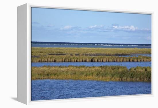 Beach Lakes at Darsser Ort Boat Region on the Darss Peninsula-Uwe Steffens-Framed Premier Image Canvas