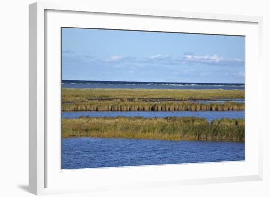 Beach Lakes at Darsser Ort Boat Region on the Darss Peninsula-Uwe Steffens-Framed Photographic Print