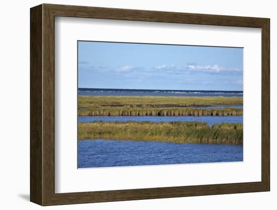 Beach Lakes at Darsser Ort Boat Region on the Darss Peninsula-Uwe Steffens-Framed Photographic Print