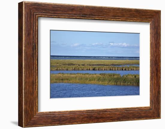 Beach Lakes at Darsser Ort Boat Region on the Darss Peninsula-Uwe Steffens-Framed Photographic Print