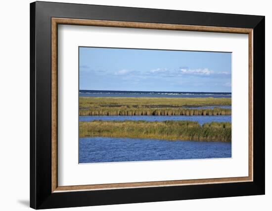 Beach Lakes at Darsser Ort Boat Region on the Darss Peninsula-Uwe Steffens-Framed Photographic Print