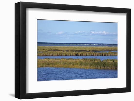 Beach Lakes at Darsser Ort Boat Region on the Darss Peninsula-Uwe Steffens-Framed Photographic Print