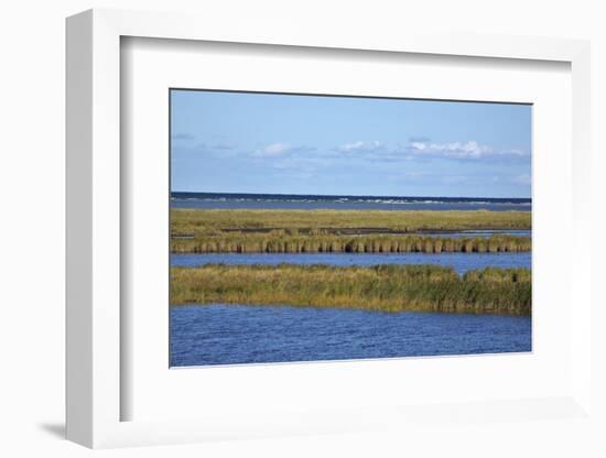 Beach Lakes at Darsser Ort Boat Region on the Darss Peninsula-Uwe Steffens-Framed Photographic Print