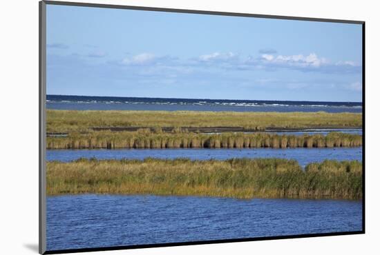 Beach Lakes at Darsser Ort Boat Region on the Darss Peninsula-Uwe Steffens-Mounted Photographic Print