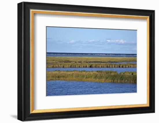 Beach Lakes at Darsser Ort Boat Region on the Darss Peninsula-Uwe Steffens-Framed Photographic Print