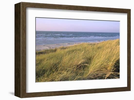 Beach, Langeoog, East Frisian Islands, Lower Saxony, Germany-null-Framed Art Print