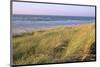 Beach, Langeoog, East Frisian Islands, Lower Saxony, Germany-null-Mounted Art Print