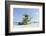 Beach Lifeguard Tower '74 St', Atlantic Ocean, Miami South Beach, Florida, Usa-Axel Schmies-Framed Photographic Print