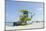 Beach Lifeguard Tower '74 St', Atlantic Ocean, Miami South Beach, Florida, Usa-Axel Schmies-Mounted Photographic Print