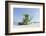 Beach Lifeguard Tower '74 St', Atlantic Ocean, Miami South Beach, Florida, Usa-Axel Schmies-Framed Photographic Print