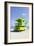 Beach Lifeguard Tower '77 St', Atlantic Ocean, Miami South Beach, Florida, Usa-Axel Schmies-Framed Premium Photographic Print